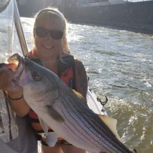 Meet your Posher, Barbie